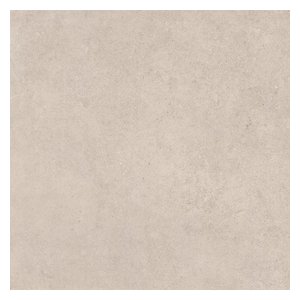 R11 anti-slip porcelain ZF6650R11 600x600mm