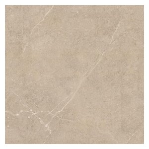 R11 anti-slip porcelain ZF6653R11 600x600mm